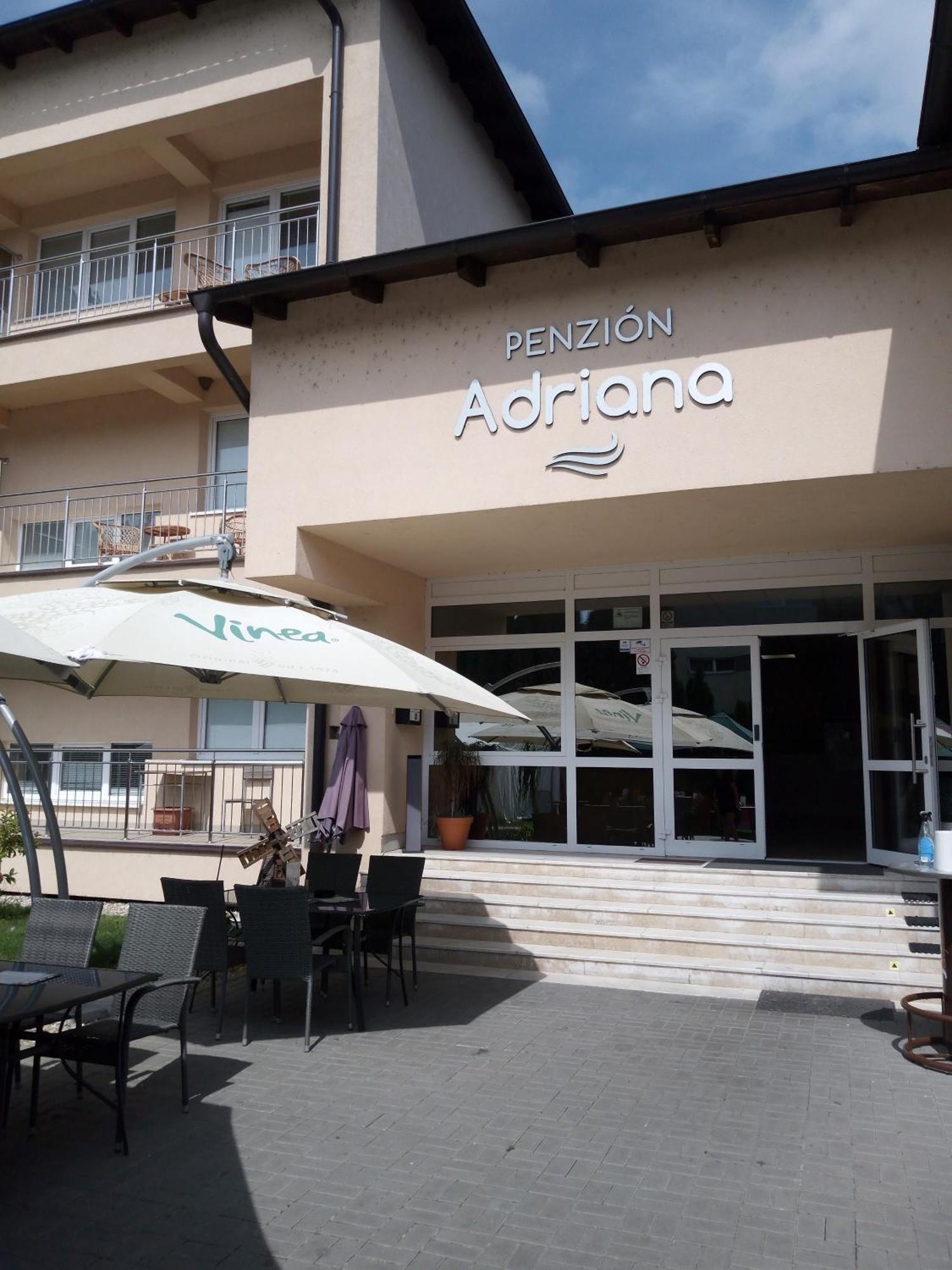 Penzion Adriana Nove Mesto nad Vahom Exterior photo